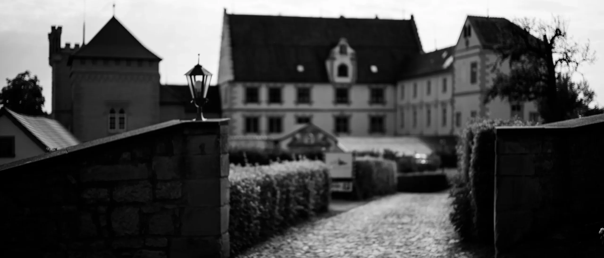 Schloss hinter Hecken, Schwarzweiß